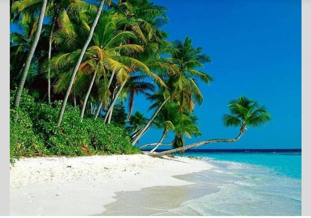 Airbnb At Sri Sayang Batu Ferringhi Beach Zewnętrze zdjęcie